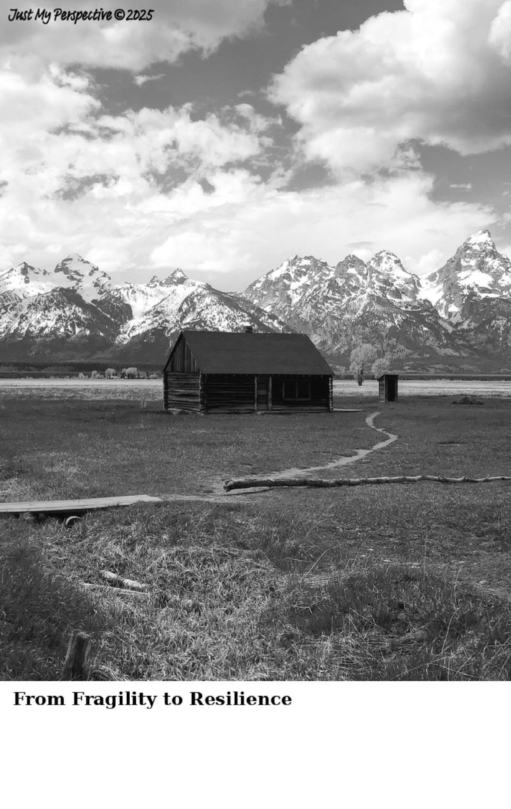 From Fragility to&nbsp;Resilience